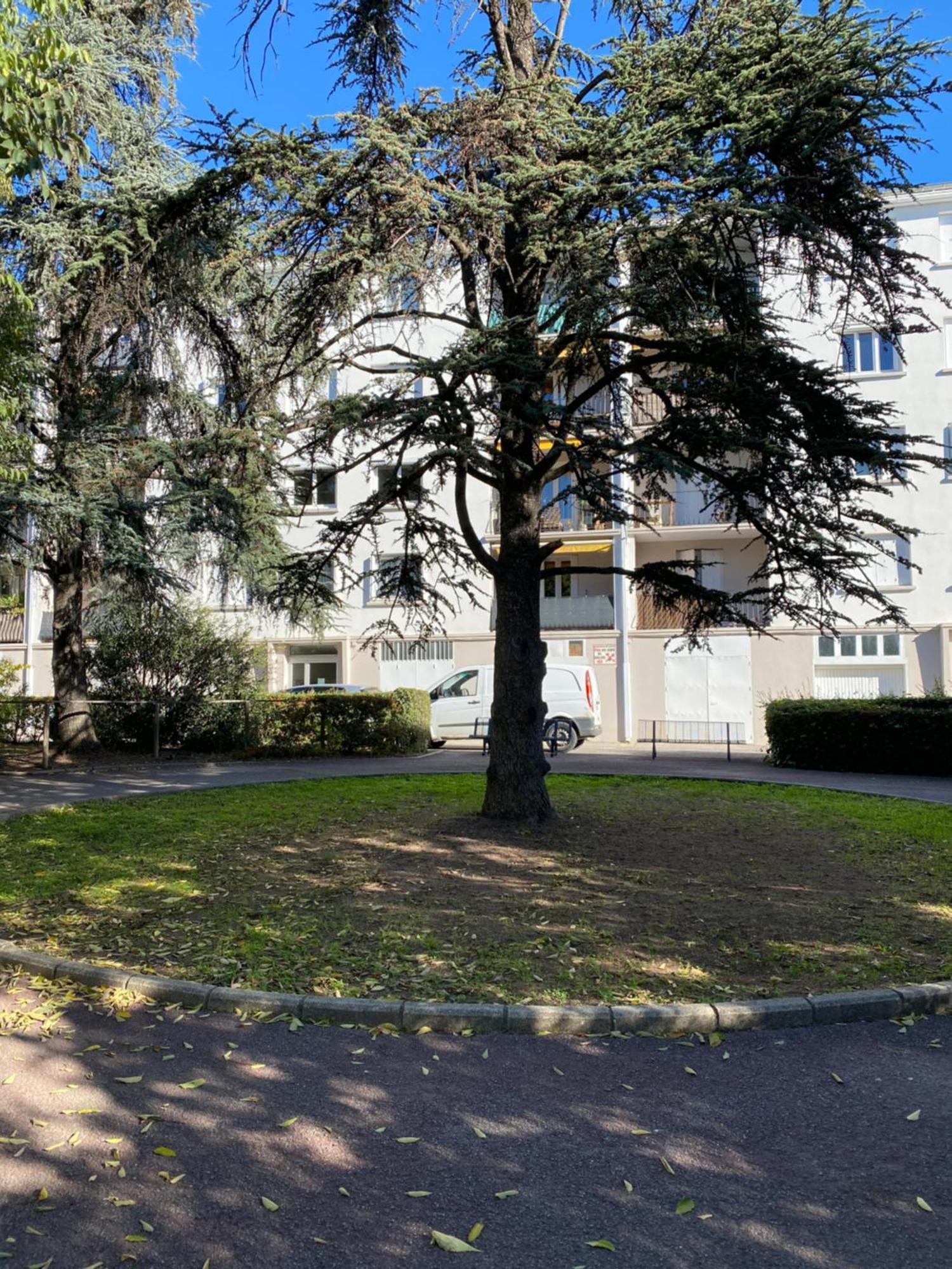 Appartement Rosaluz Montpellier Esterno foto